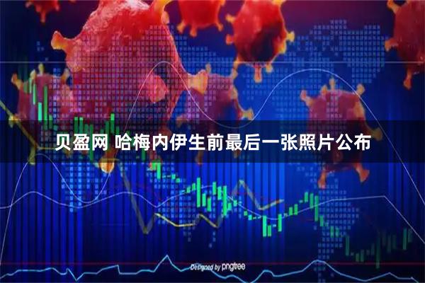 贝盈网 哈梅内伊生前最后一张照片公布