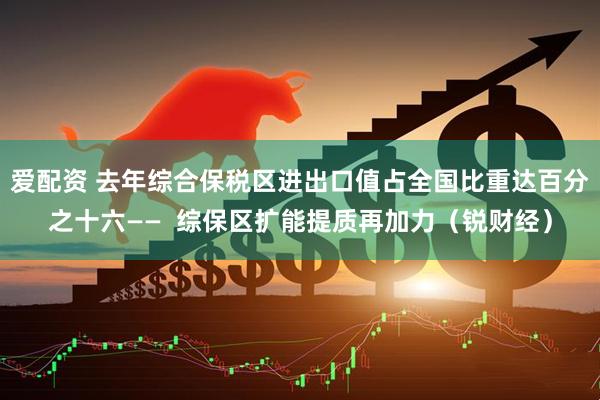 爱配资 去年综合保税区进出口值占全国比重达百分之十六——  综保区扩能提质再加力（锐财经）